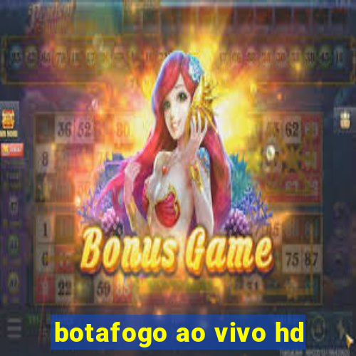 botafogo ao vivo hd